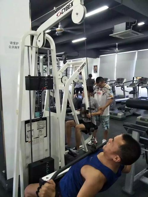人民網(wǎng)測評 健身護(hù)具好幫手，ohmy fit健身護(hù)具全面評測報(bào)告